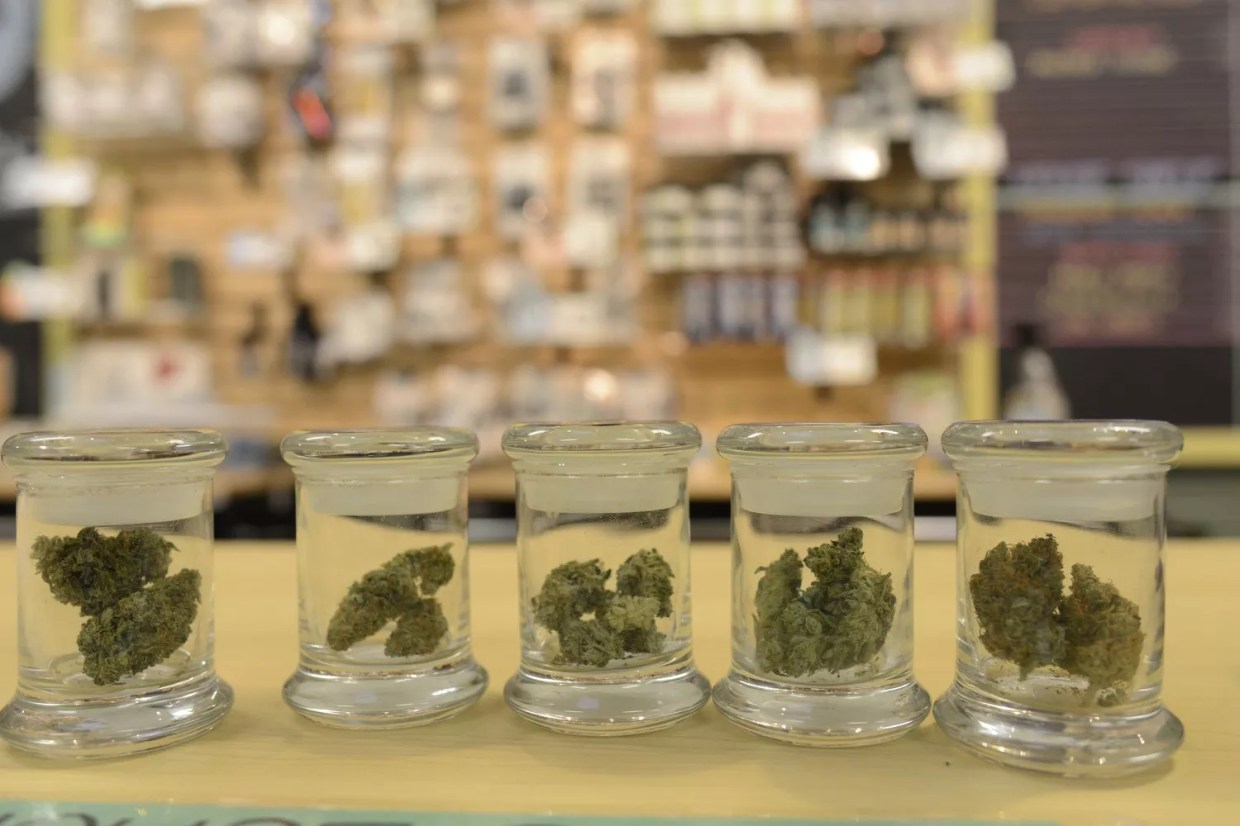 Colorado Hits Major Marijuana Sales Milestone: $15 Billion in Sales