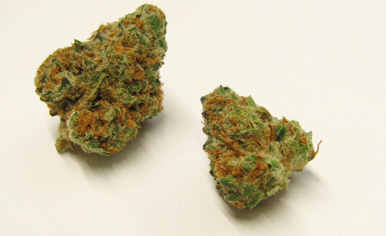 Why Colorado Tokers Love Blue Garlic