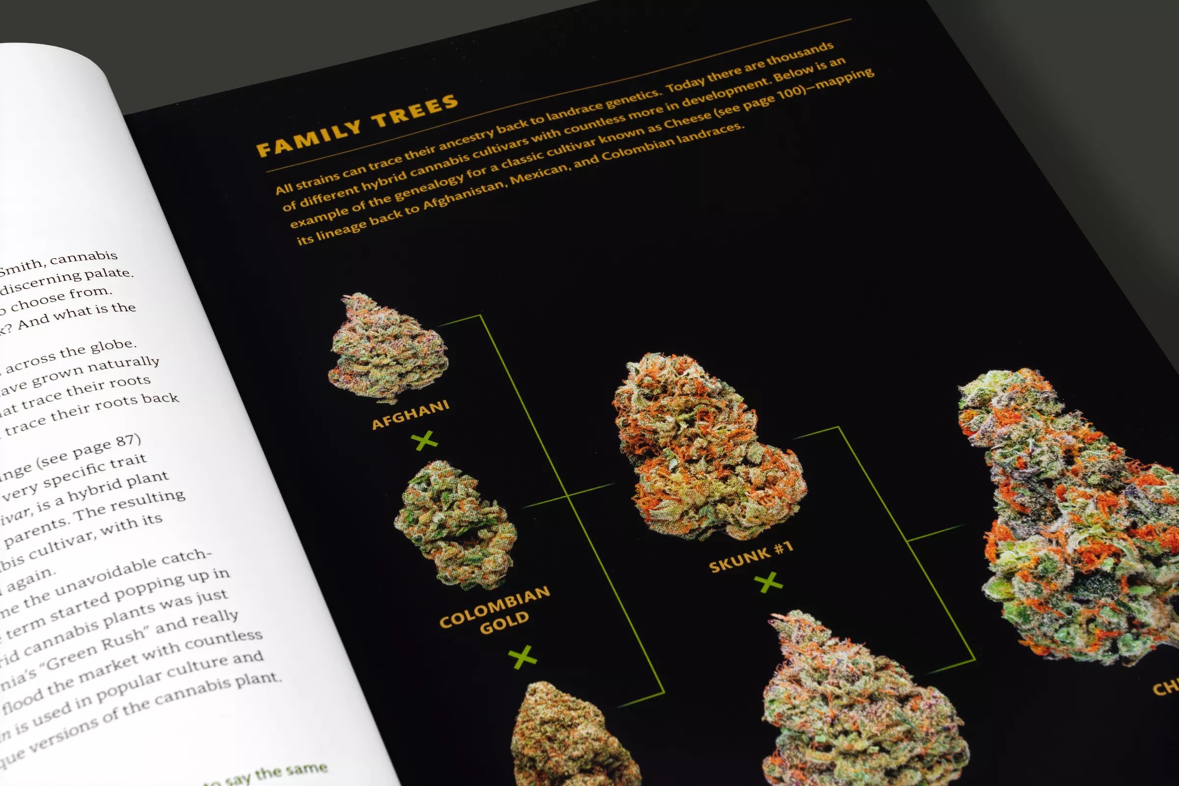 Pages from Higher, a book about cannabis strains