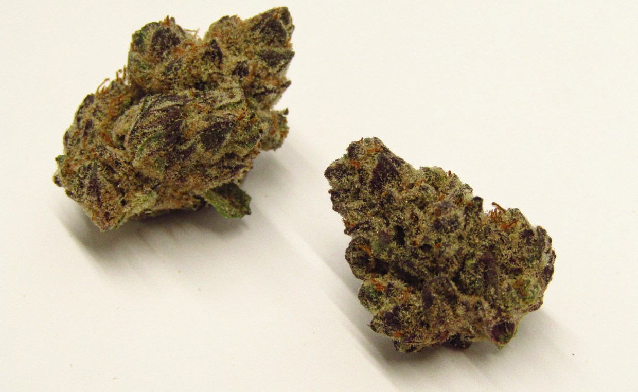 Why Colorado Tokers Love Devil Driver