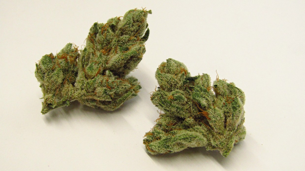 Why Colorado Tokers Love Wedding Pie