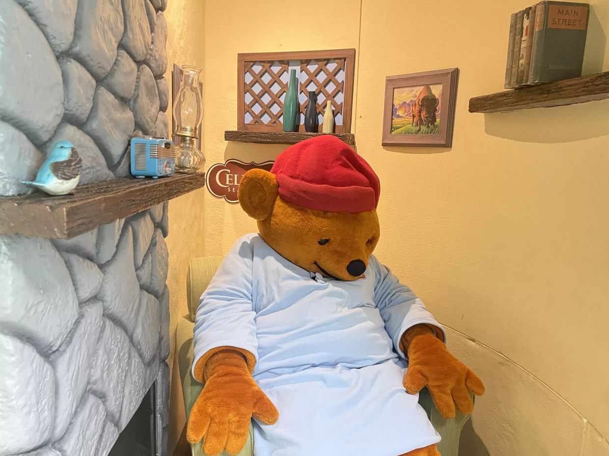 The Dreamy Success of Celestial Seasoning’s Sleepytime Bear, Colorado’s Newest Mascot