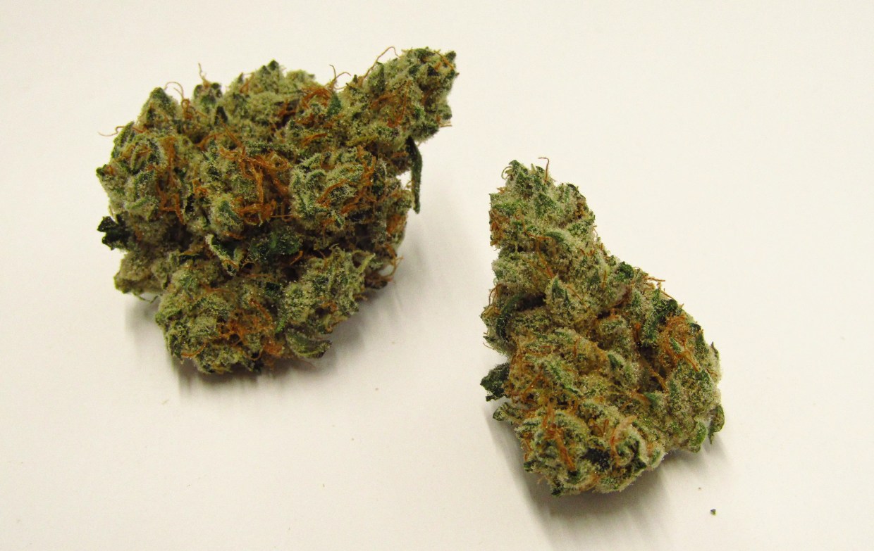 Why Colorado Tokers Love Garlic Cocktail