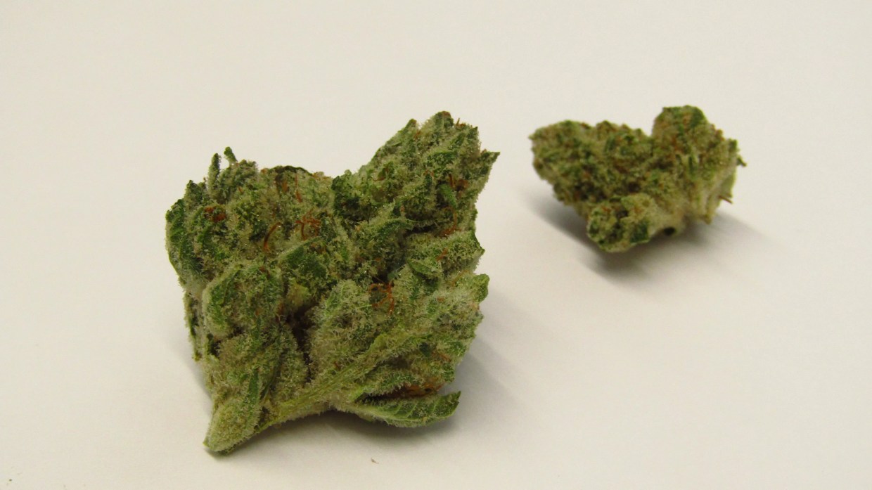 Why Colorado Tokers Love Gummy Worms