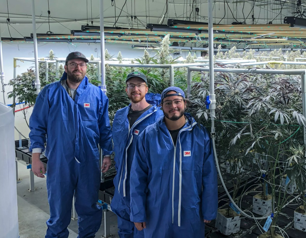 Quality Cannabis Is No Joke at Laughing Grass Dispensary