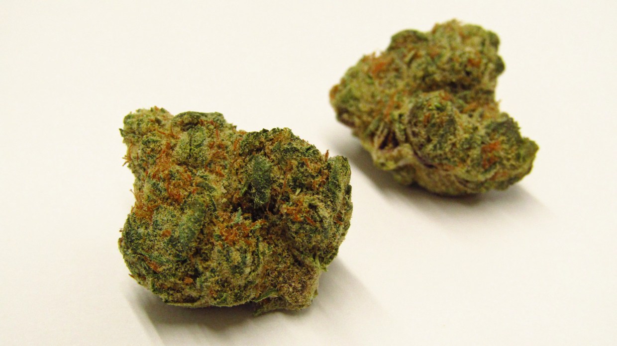 Why Colorado Tokers Love Fritter Cake