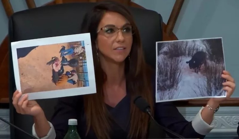 woman holding up two pictures