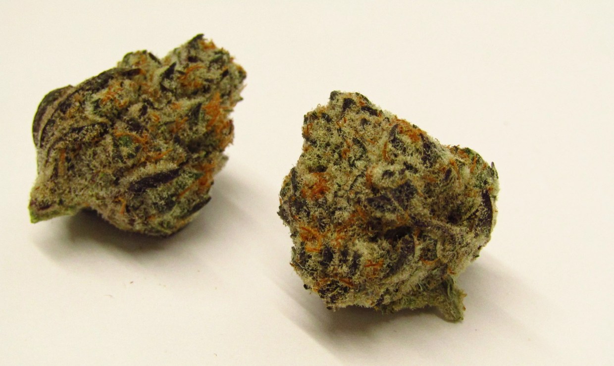 Colorado’s Best Cannabis Strains of 2023