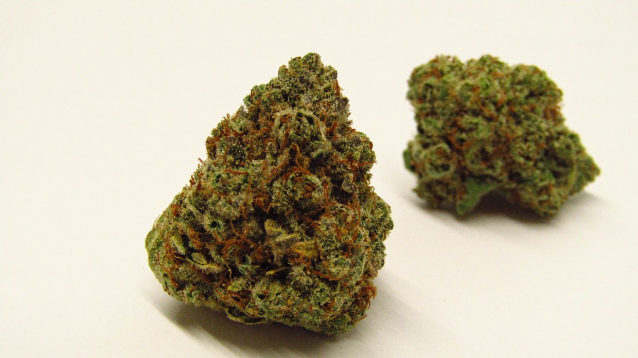 Why Colorado Tokers Love Monkey Berries