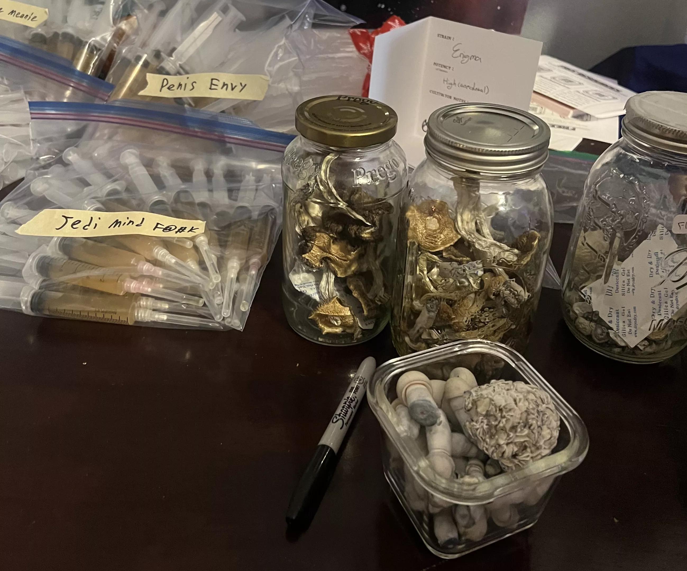 Psilocybin mushrooms and spores on display