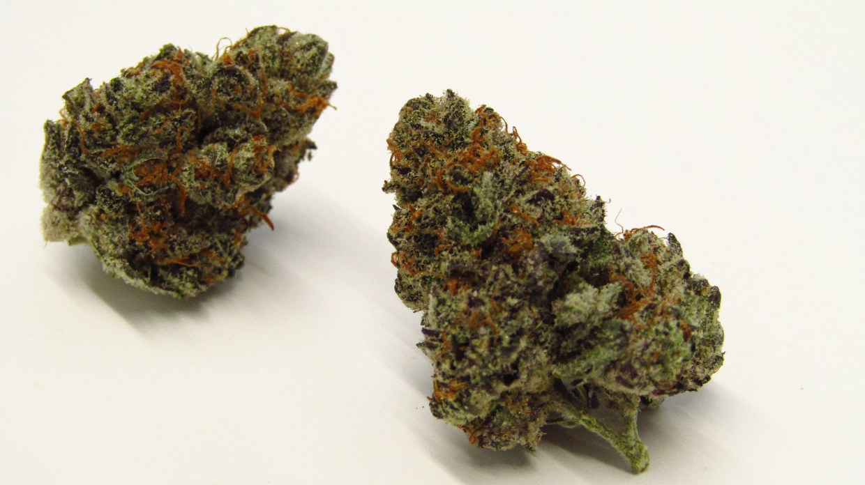 Why Colorado Tokers Love Moonbow