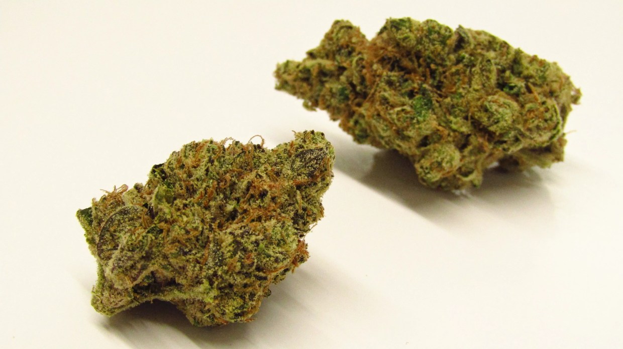 Why Colorado Tokers Love Sudz