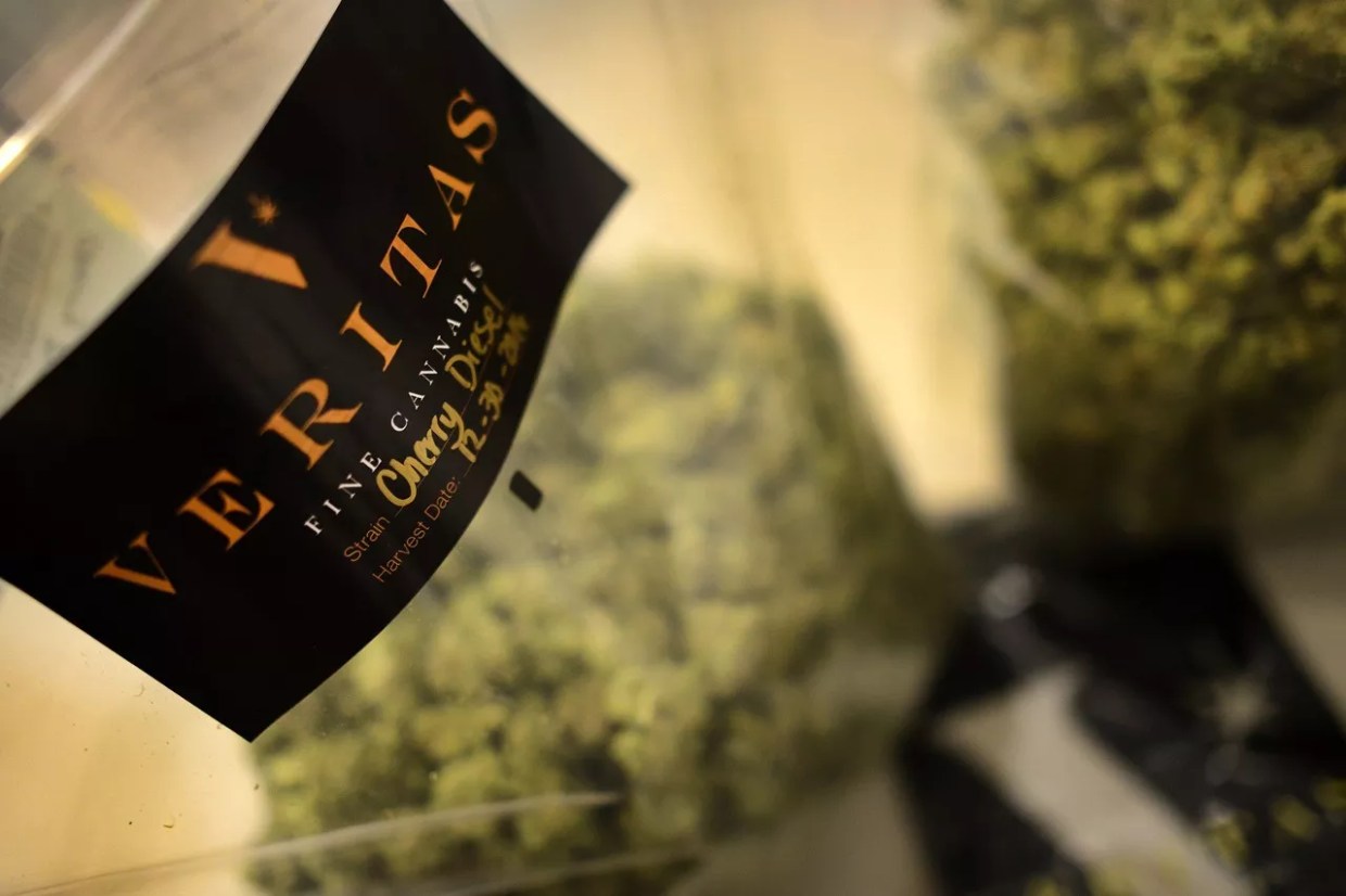Veritas Lays Off Staff, Closes Grow to Sell Third-Party Cannabis