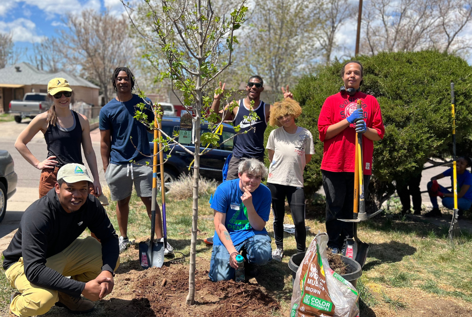 A group of volunteers with Groundwork Denver stand next to a freshly planted tree.