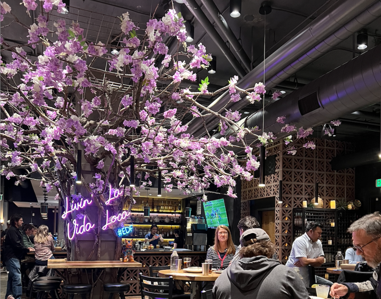 Casa Bonita Chef Dana Rodriguez Closes Cantina Loca