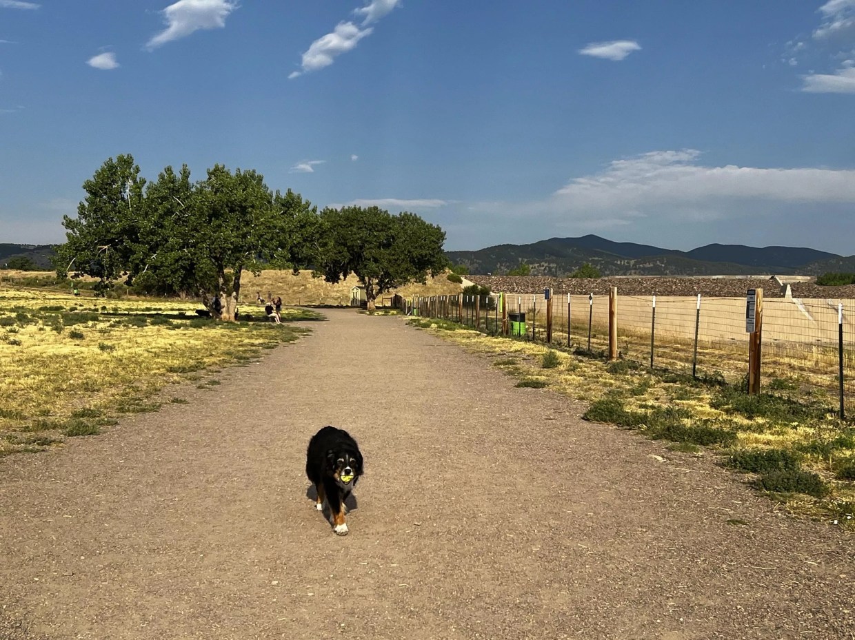 Fetch! The Ten Best Dog Parks in Metro Denver