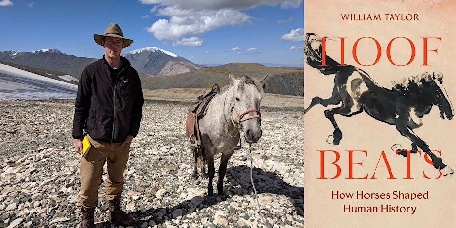 man on horse in desert