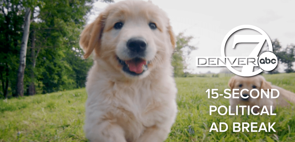 Pup Talk: Denver ABC Affiliate Offers Cute Breaks From Ugly Political Ads