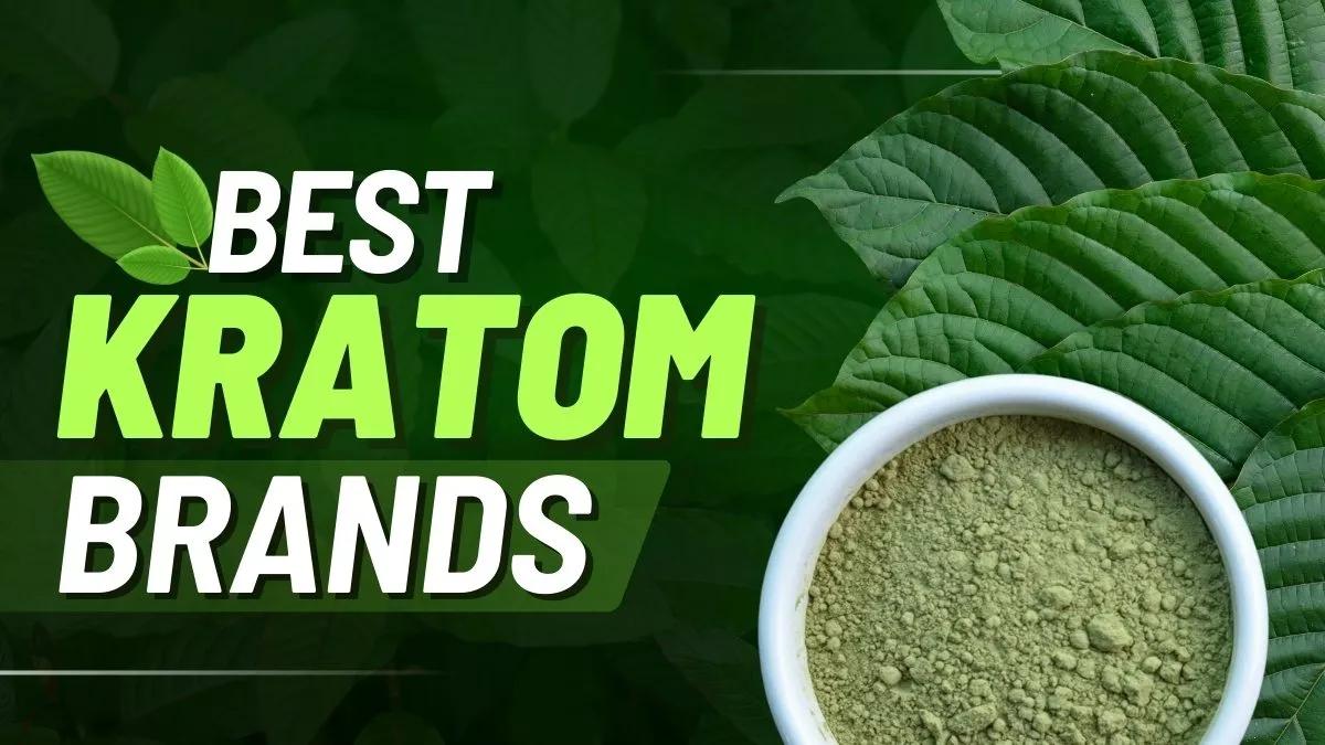 Best Kratom Brands: Reputable Vendors to Buy Kratom Online