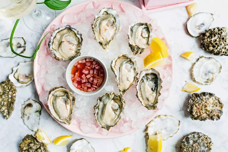 Fresh oysters from Bar Dough on ice in a pink bowl
