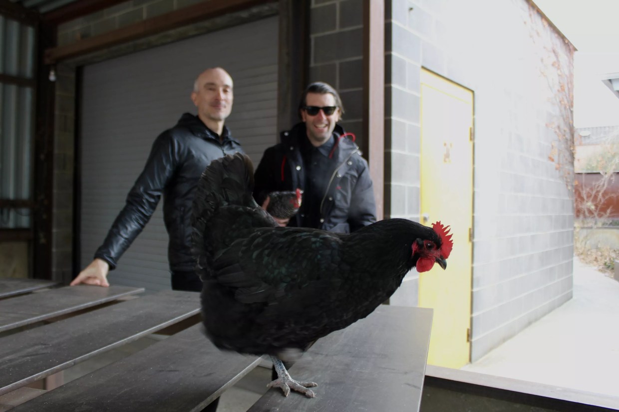 Controlled Chaos: Denver Furniture Makers Work Among Chickens and Bees