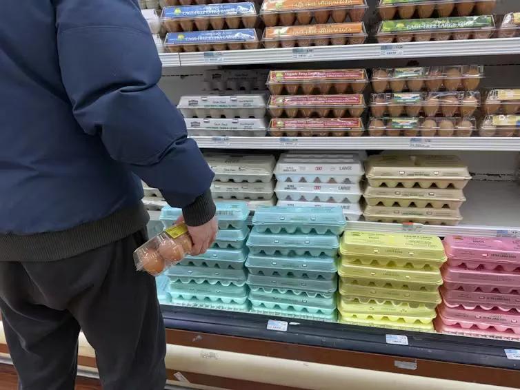 eggs on the shells
