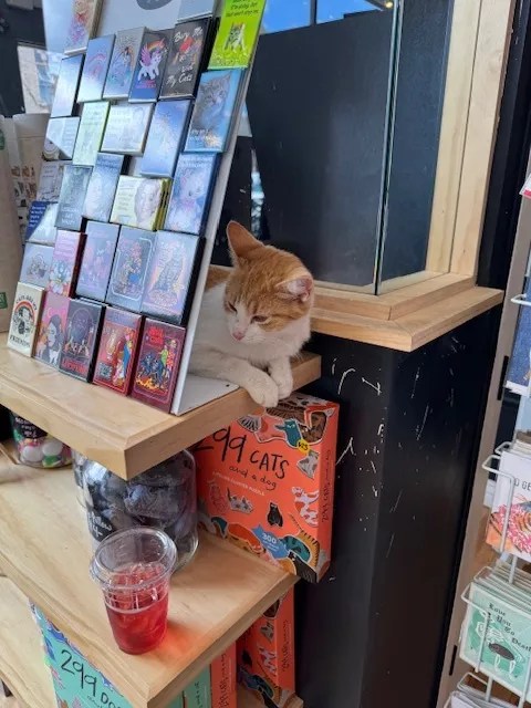 Ten Things to Do in Berkeley