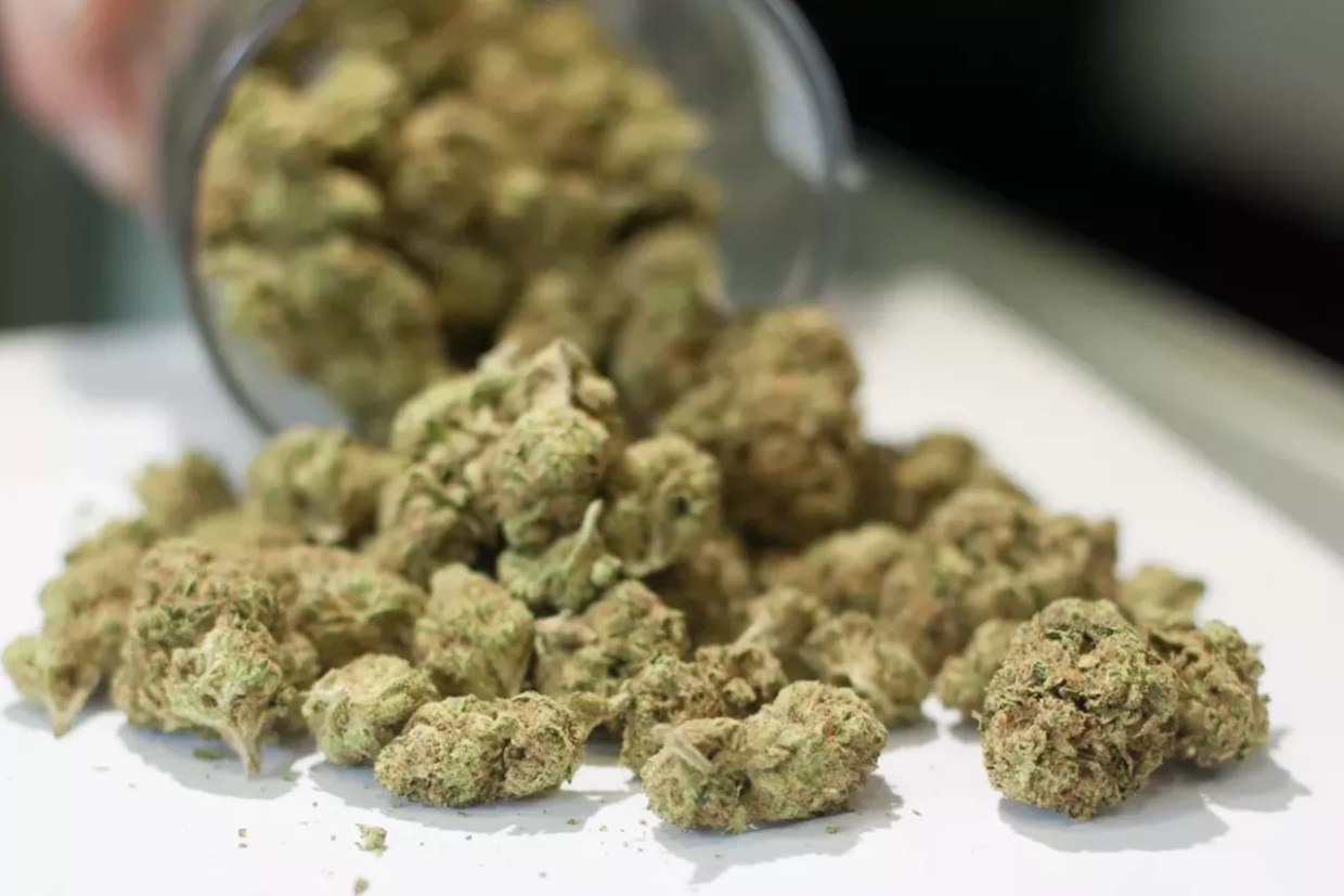 600 Pounds of Seized Marijuana Stolen From Colorado State Patrol