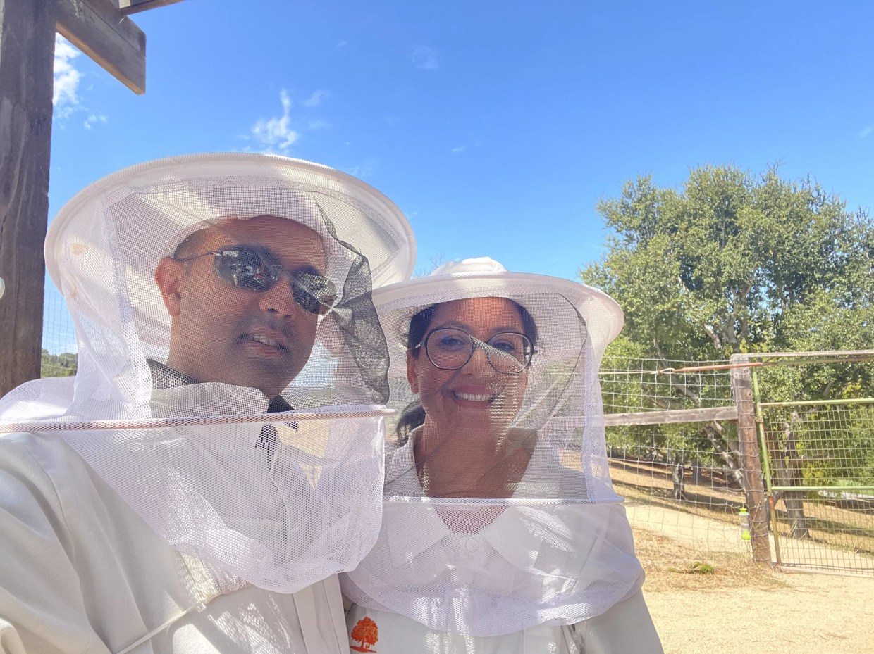 Buzzing With Amenities: Downtown Denver Hotel Installs Beehives on the Roof