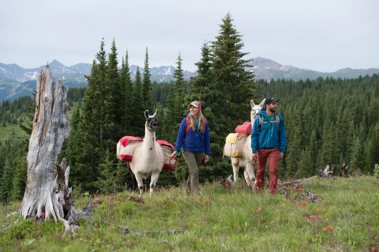 Road Trip! Ten Things to Do in Vail This Summer