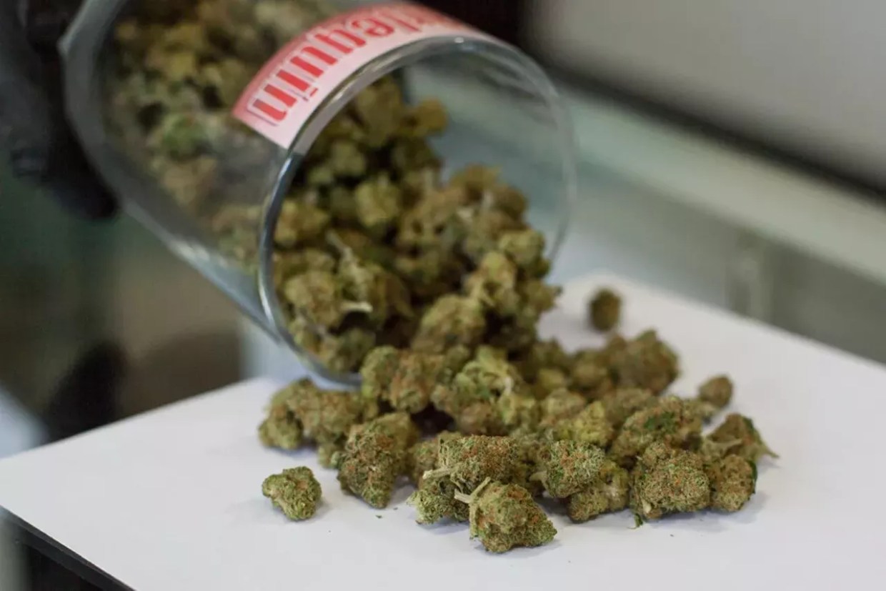 Colorado Passed Five Marijuana and Psychedelics Bills in 2025