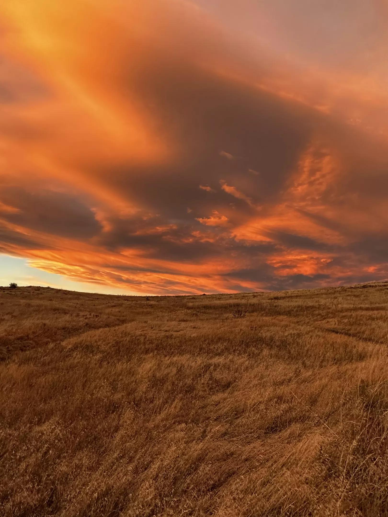 An orange sunset