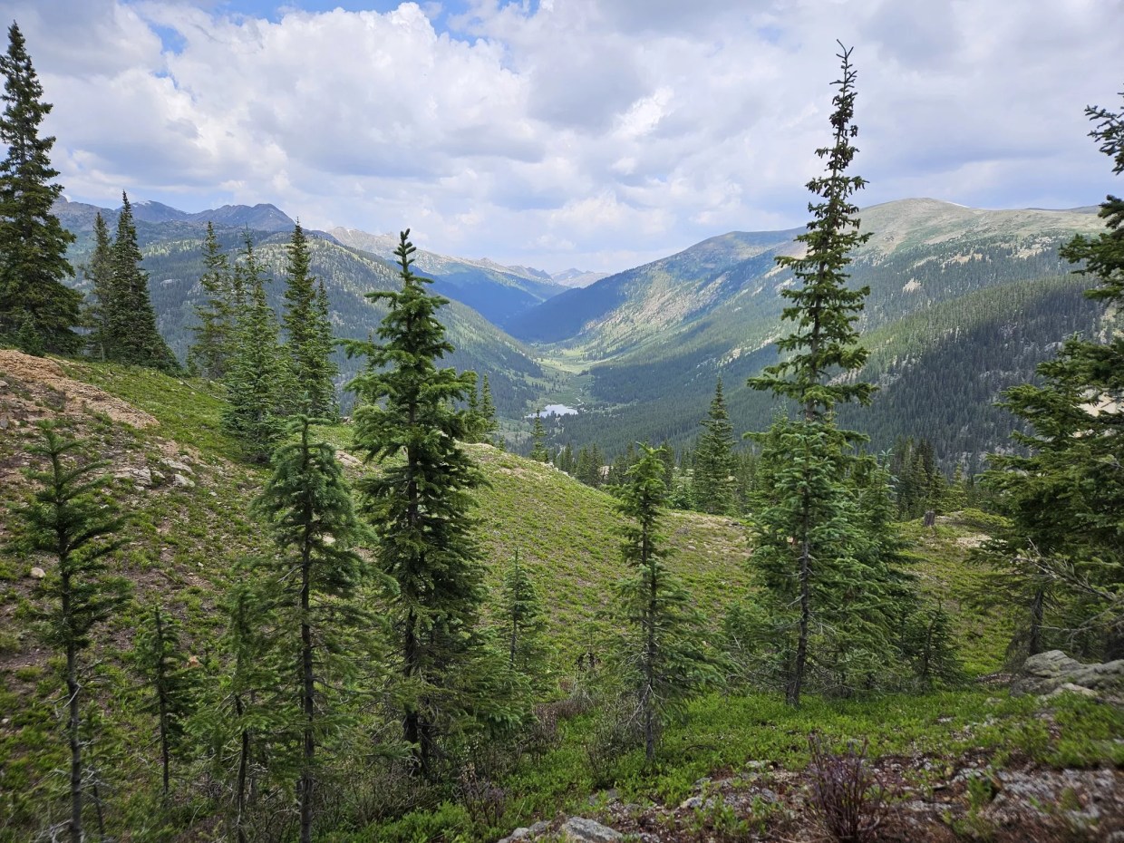 Colorado Forest Lands Should Remain Safe Despite Trump Plan to Strip National Protections