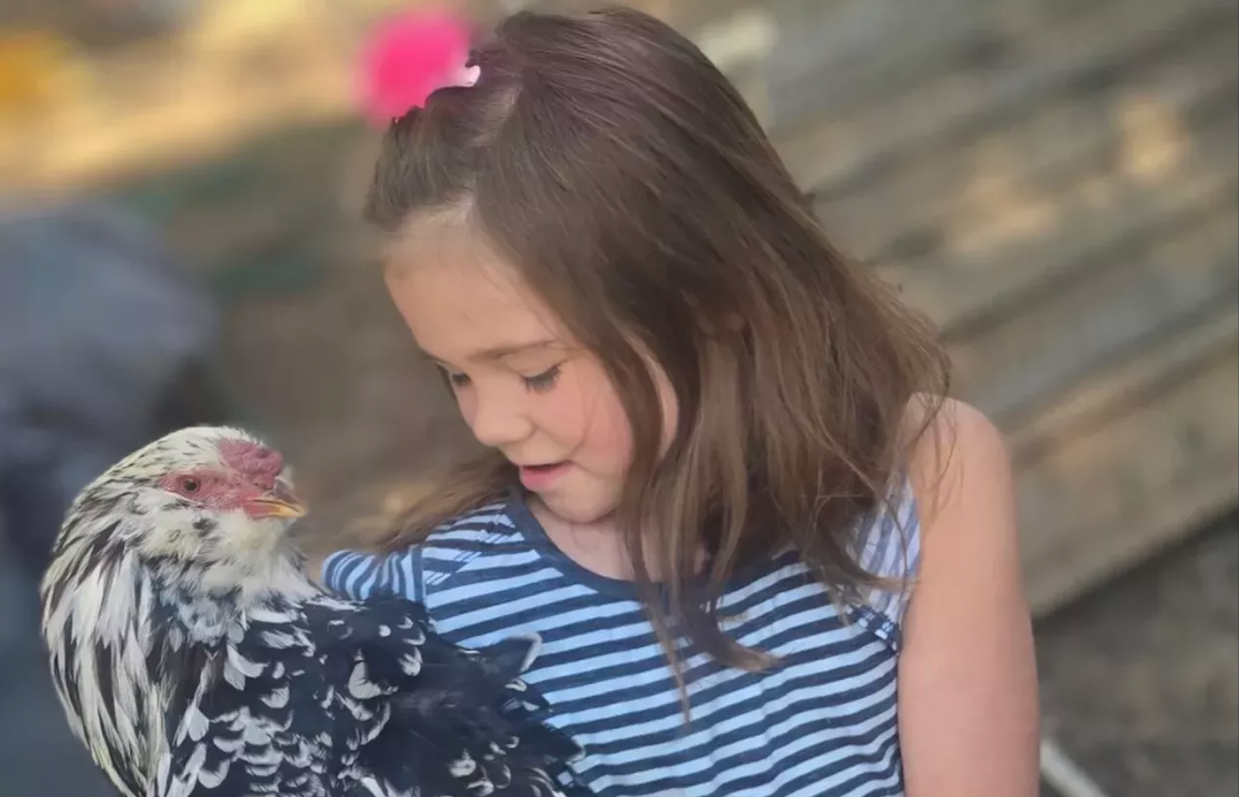 Mother and Daughter Challenging Aurora’s Ban on Housing Roosters