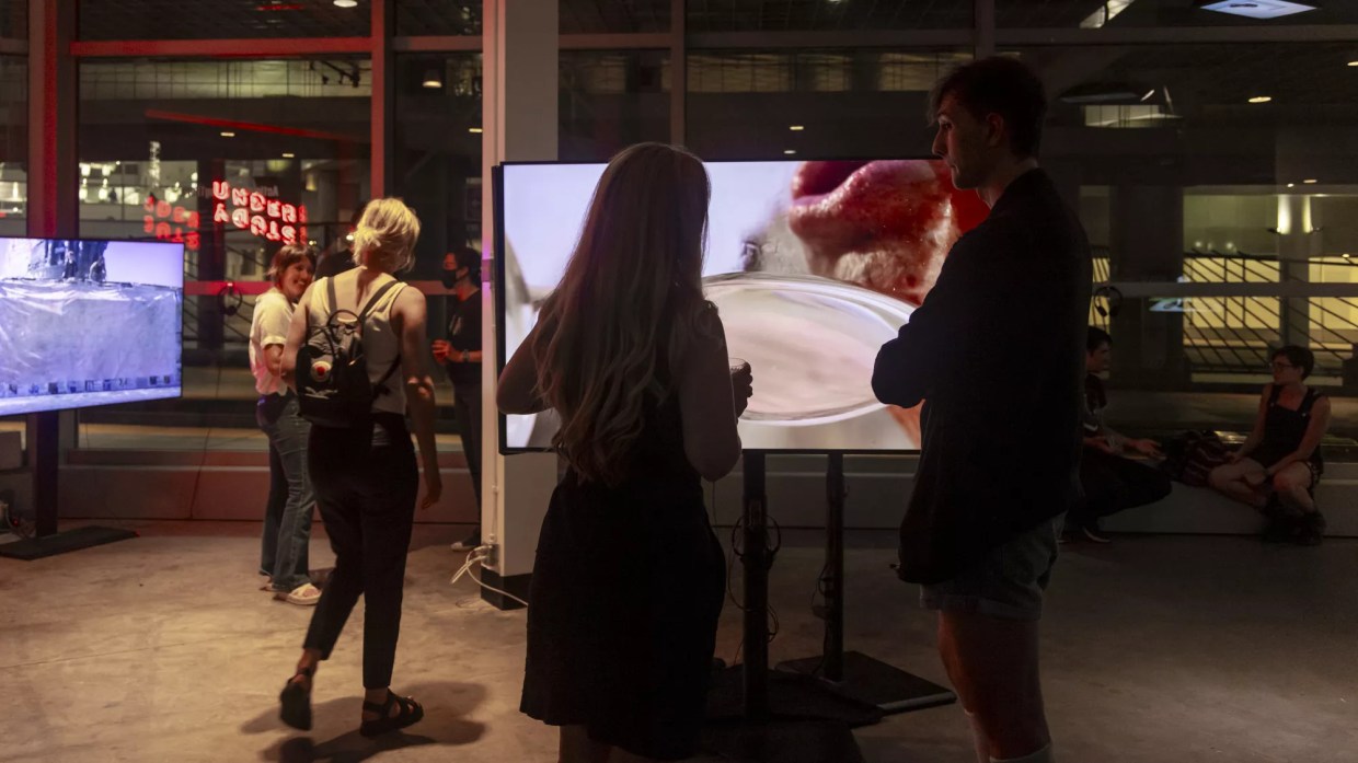 Denver Month of Video 2025 Lights Up the City with Moving Art