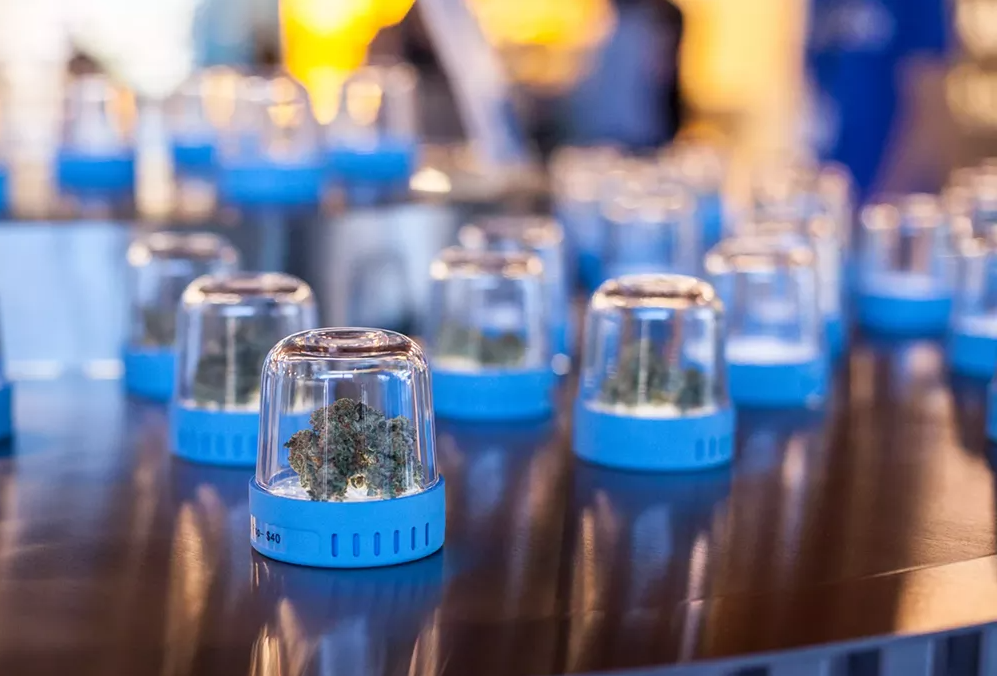 Don’t Tell the Weed Bros, but THC Potency Is Often Inflated