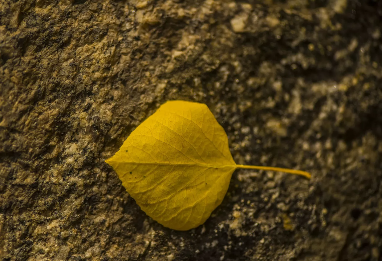 Farmer’s Almanac Shows Denver Likely in for a Hot, Dry Fall