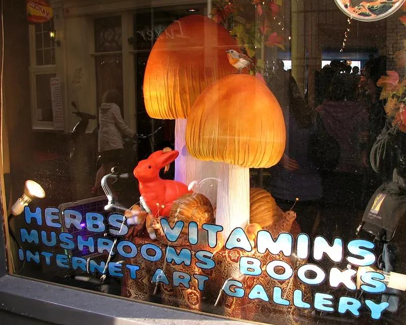 mushroom gift shop