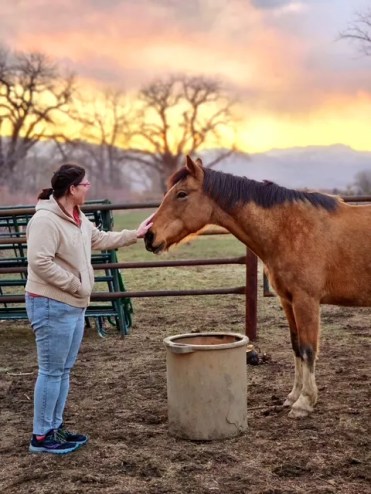 A person pets a horse