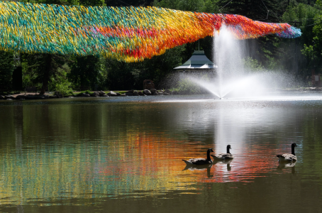 Thousands Flock to Green Mountain Falls for Viral Art Installation