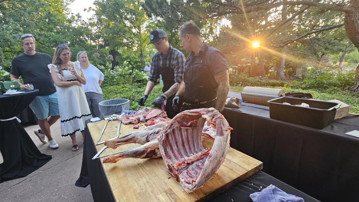 Lamb