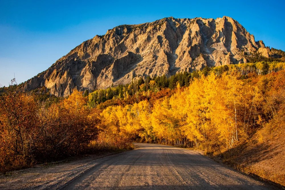Yellow aspens and a large rocky peak seen from Kebler Pass